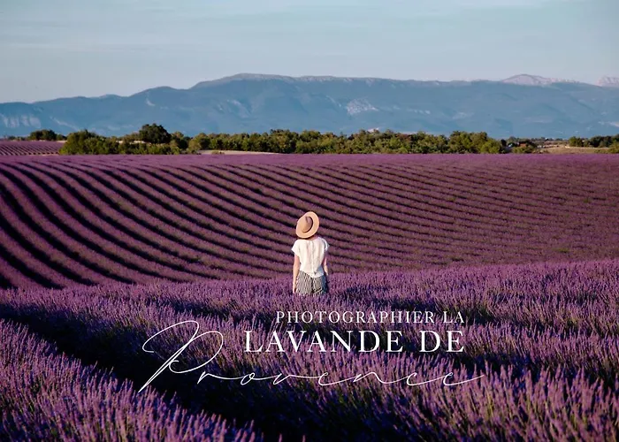 Apartamento Confortable Au Centre De